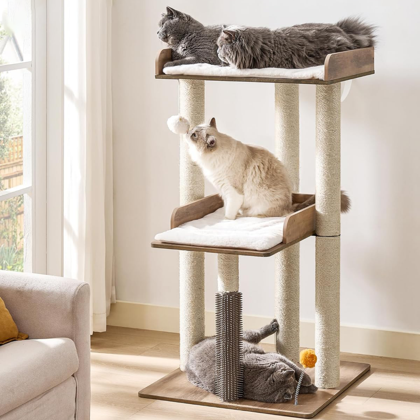 CATS