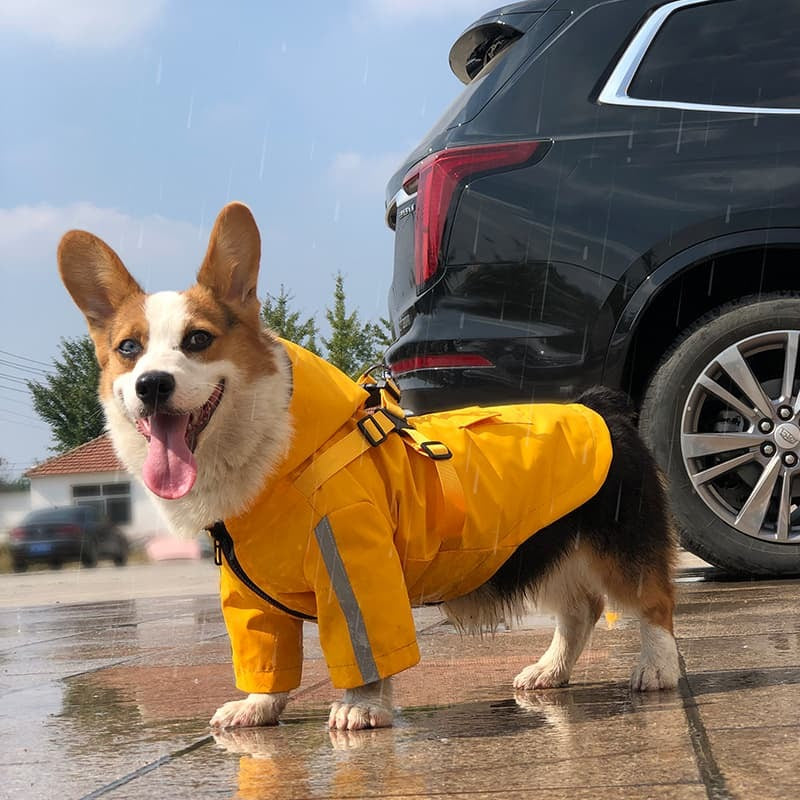 RAINCOATS