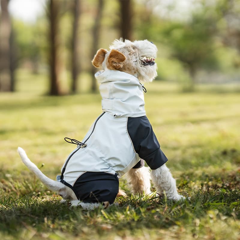 Lightweight Full Coverage Dog Rain Jacket