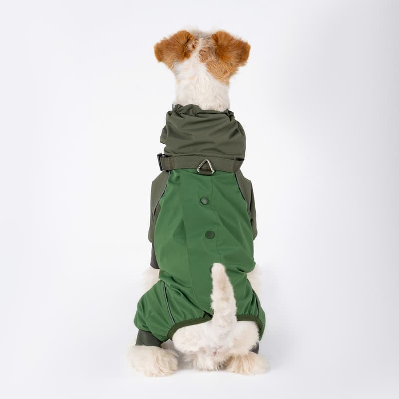 All-Weather Outdoor Adventure Dog Jacket