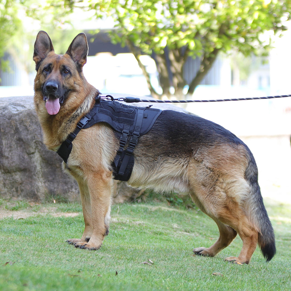 Summit Control Tactical Dog Harness with Handle