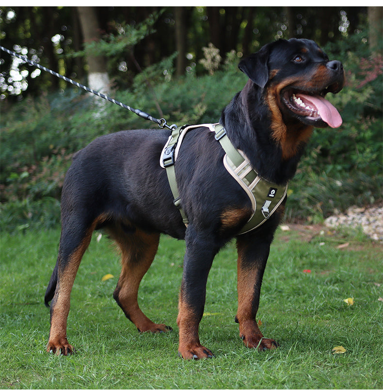 Overland Fit Padded Dog Harness and Leash Set