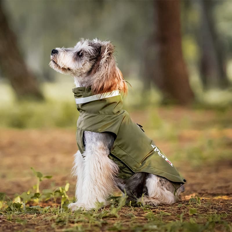 Lightweight Waterproof Dog Outdoor Jacket