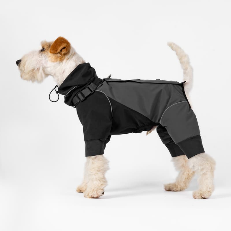 All-Weather Outdoor Adventure Dog Jacket