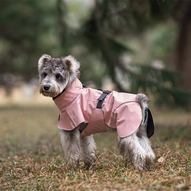 Breathable Dog Adventure Rain Coat
