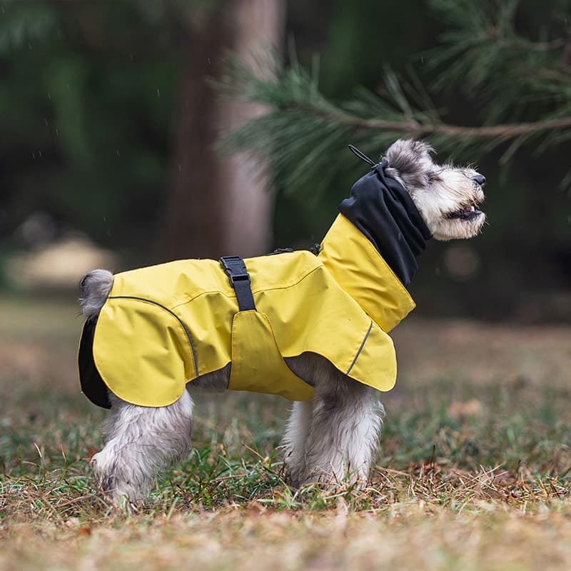 Breathable Dog Adventure Rain Coat