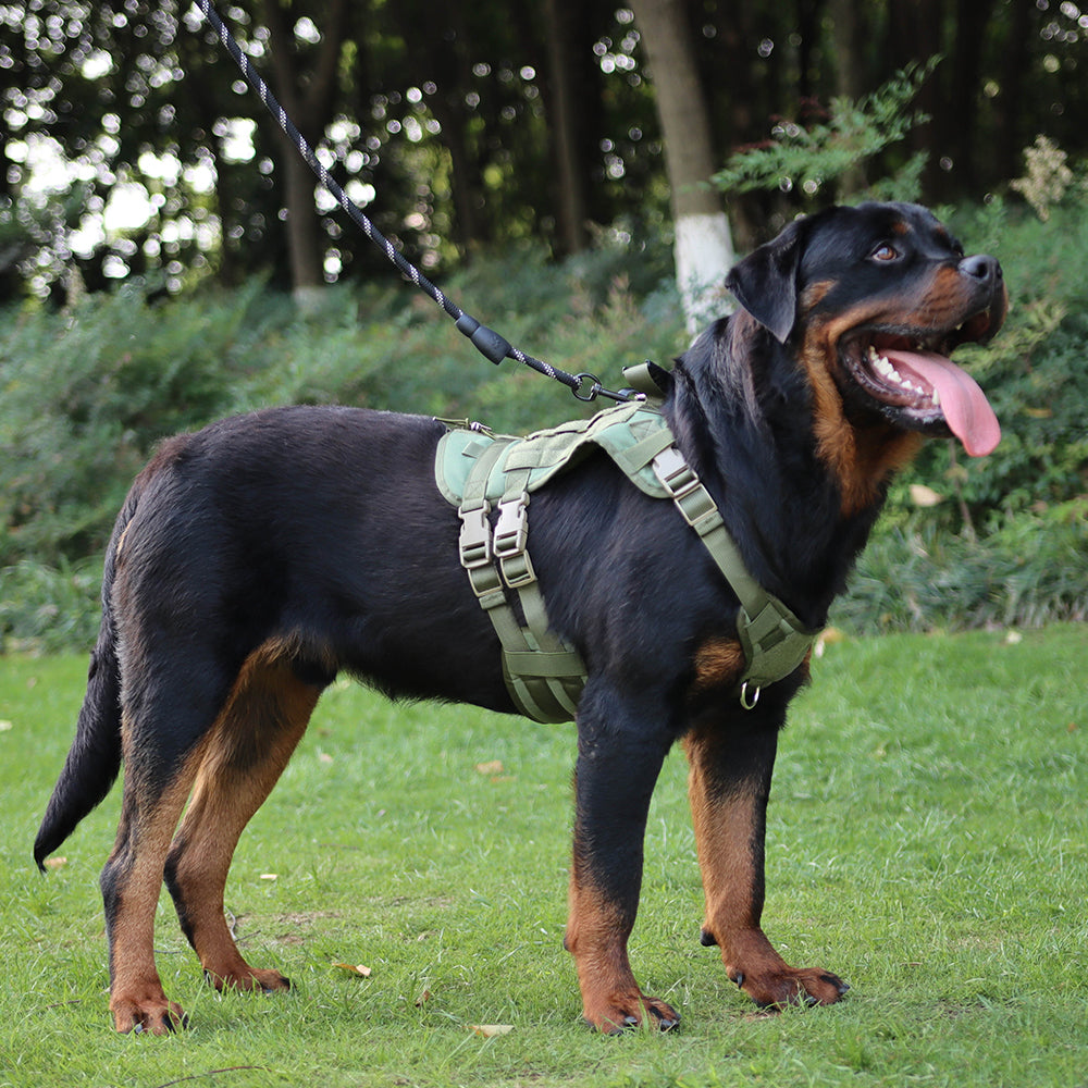 Summit Control Tactical Dog Harness with Handle