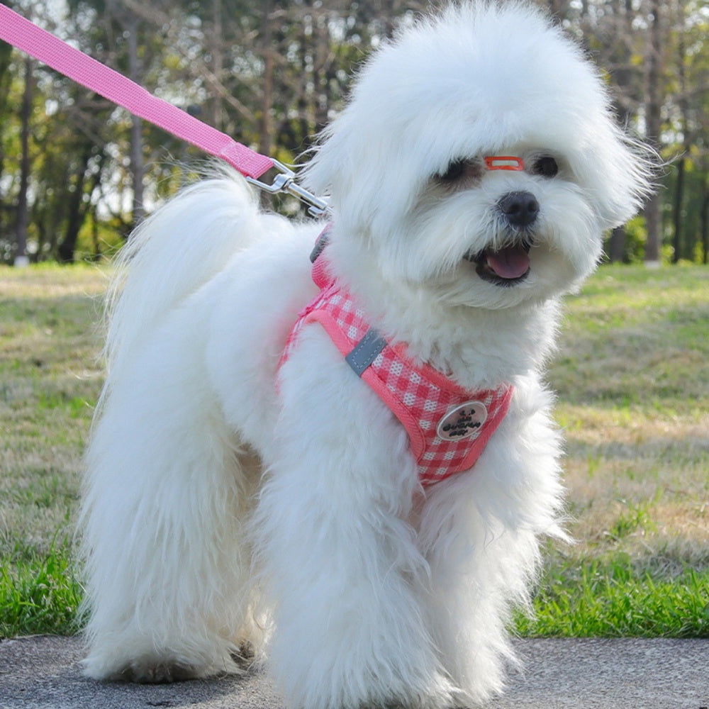 Classic Check Comfort Pet Harness and Leash Set