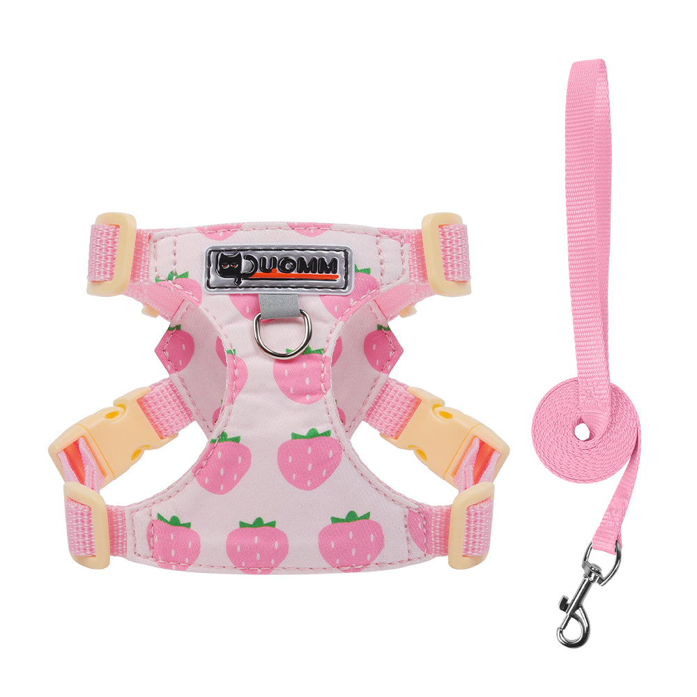 Playful Print Step-In Pet Harness and Leash Set