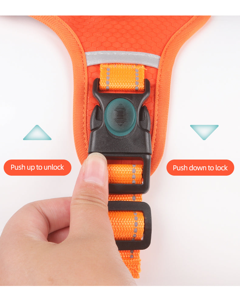Ridge Guide Reflective Dog Harness and Leash Set