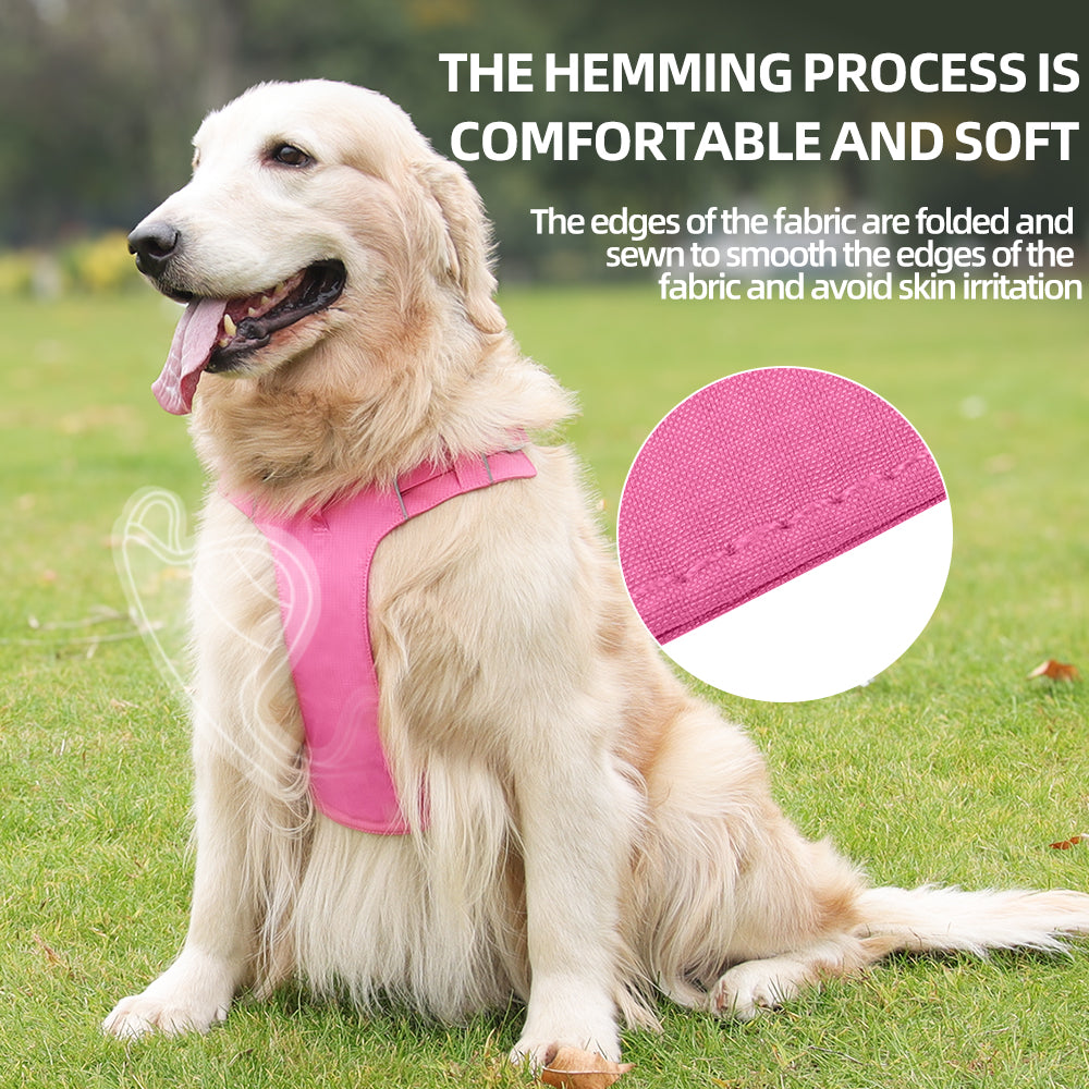 Coast Flow Quick-Dry Dog Harness & Leash Set