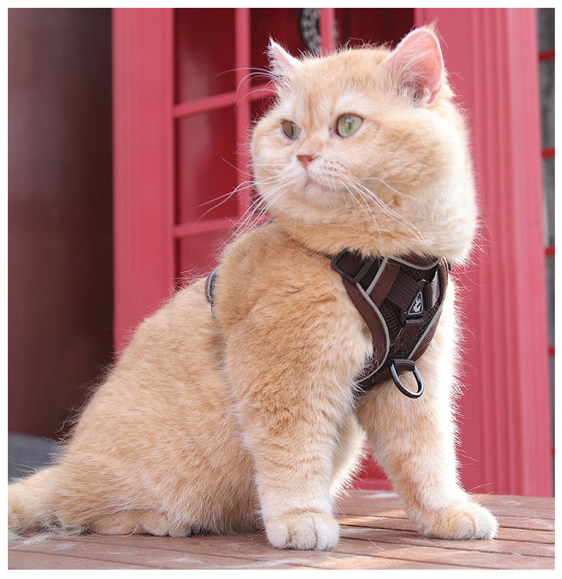 Feather Fit Breathable Pet Harness and Leash Set