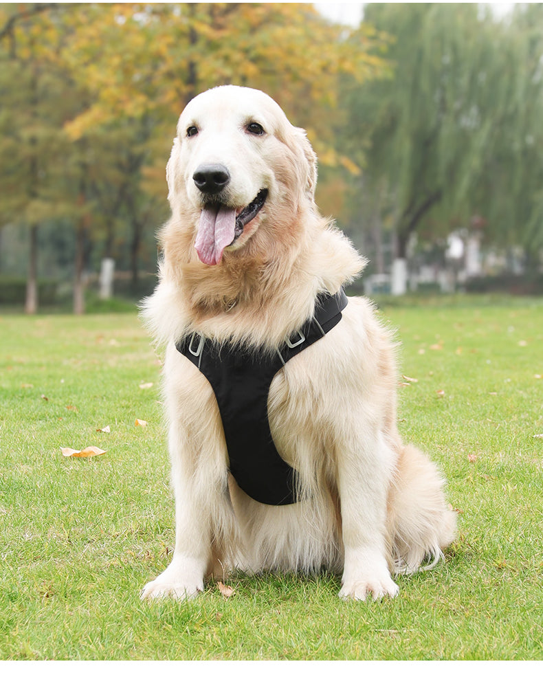 Aero Run Lightweight Reflective Dog Harness