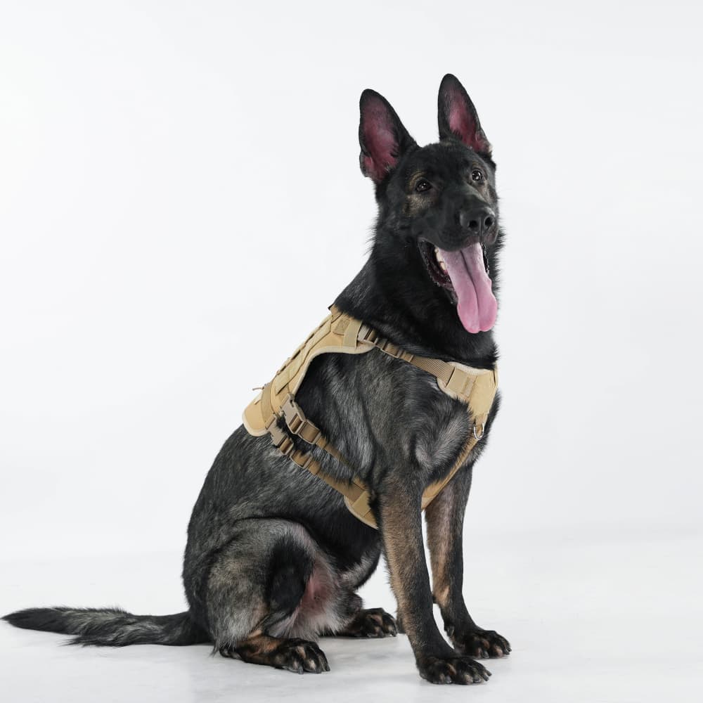 Summit Control Tactical Dog Harness with Handle