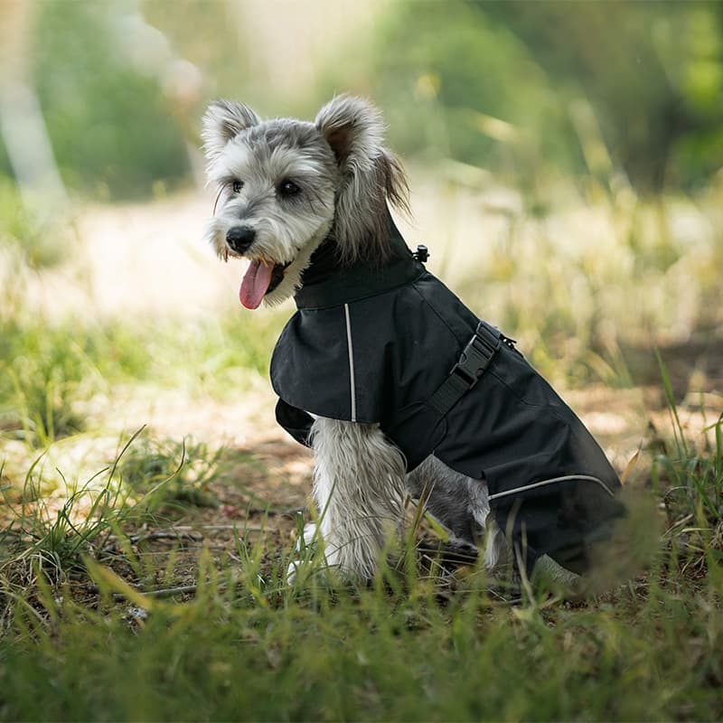 Breathable Dog Adventure Rain Coat