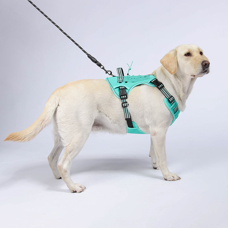 Trail Forge Multi-Use Dog Harness and Leash Set
