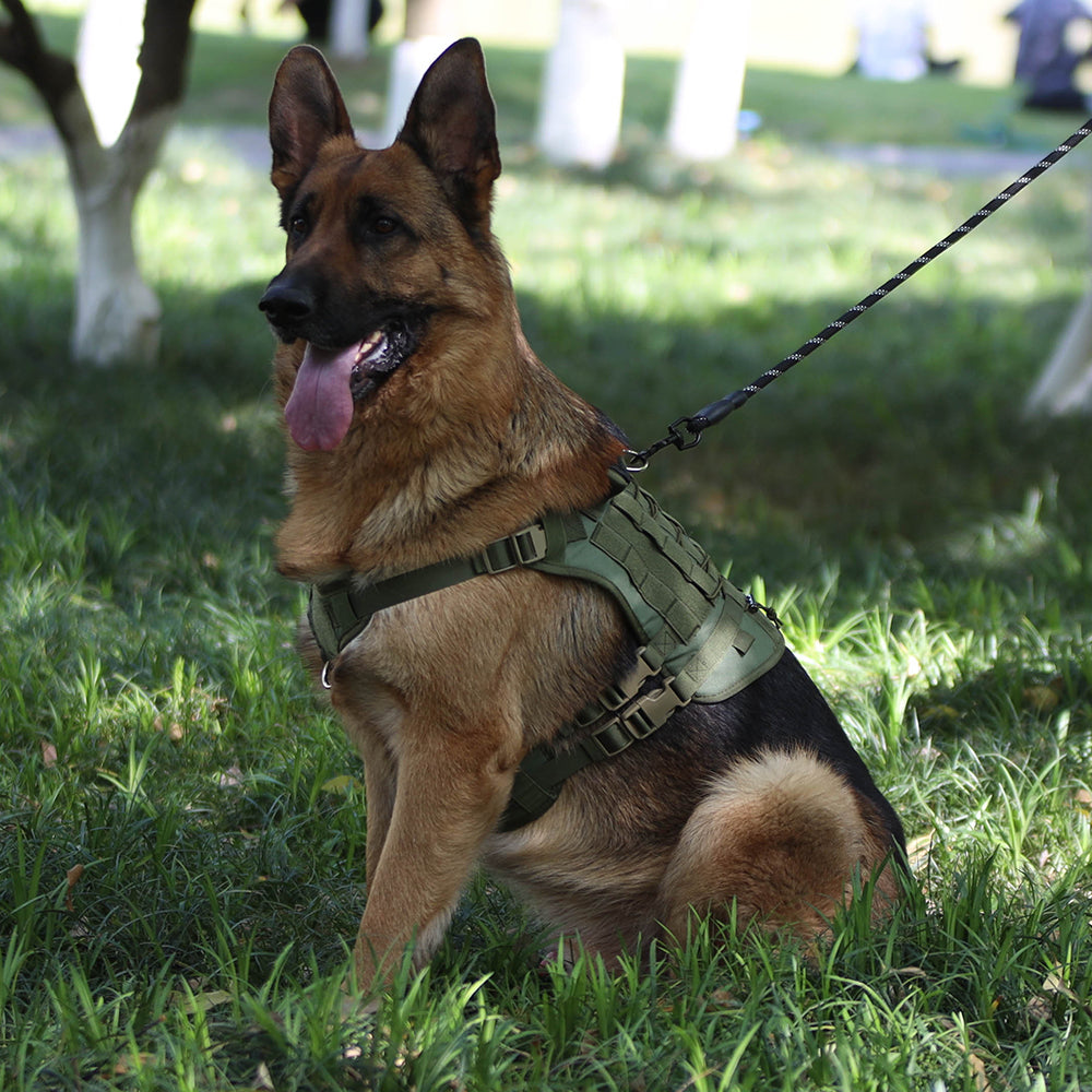 Summit Control Tactical Dog Harness with Handle