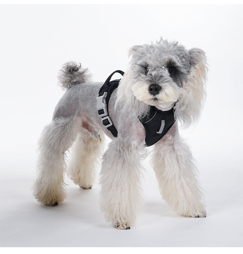 Pace Ridge Reflective Dog Harness