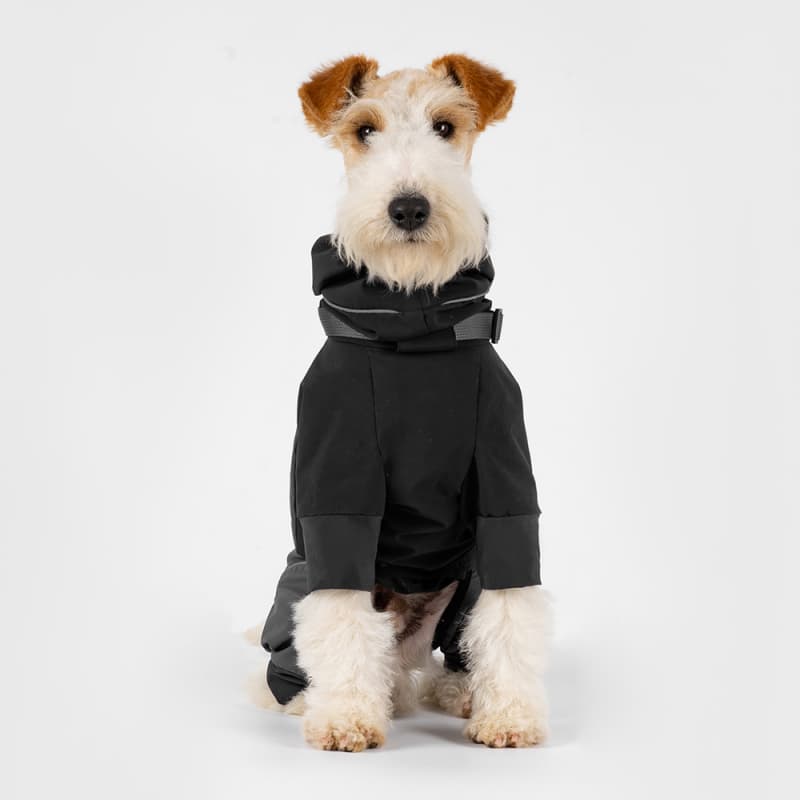 All-Weather Outdoor Adventure Dog Jacket