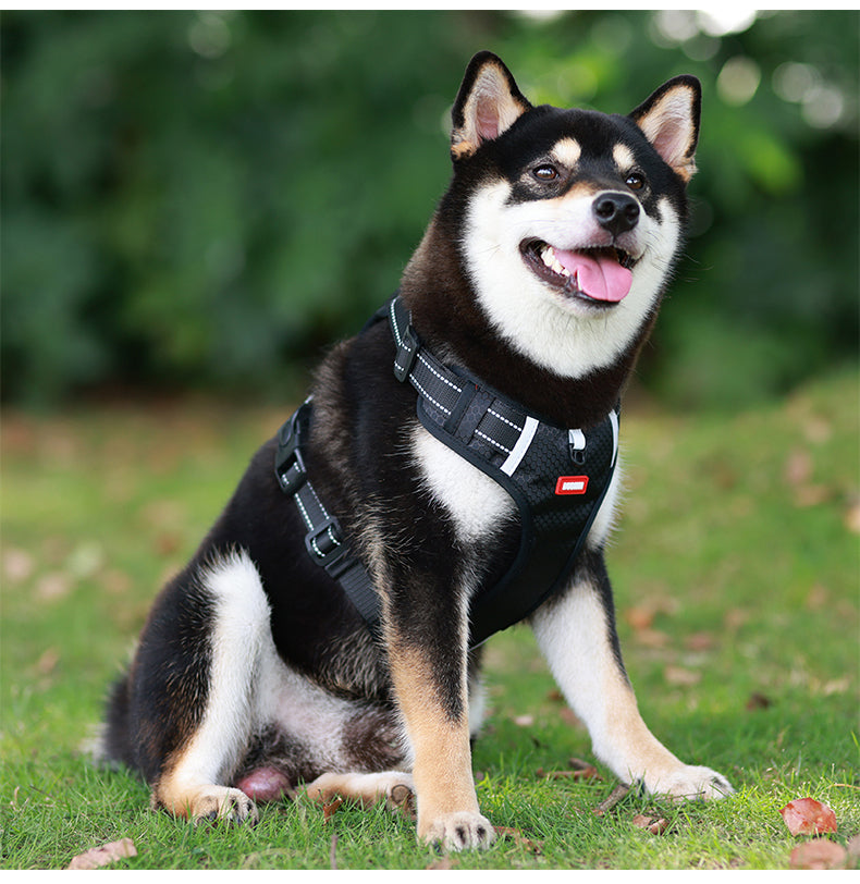 Ridge Guide Reflective Dog Harness and Leash Set