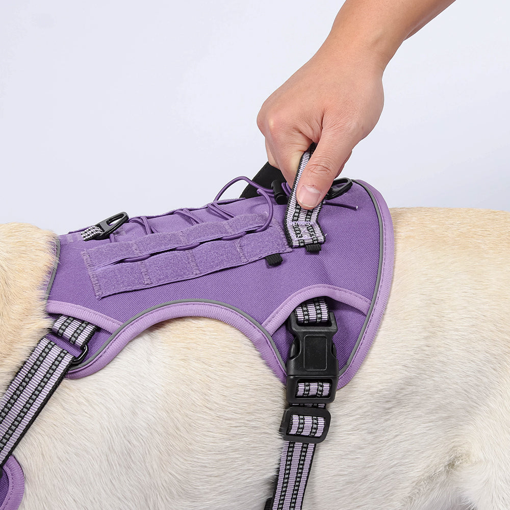 Trail Forge Multi-Use Dog Harness and Leash Set