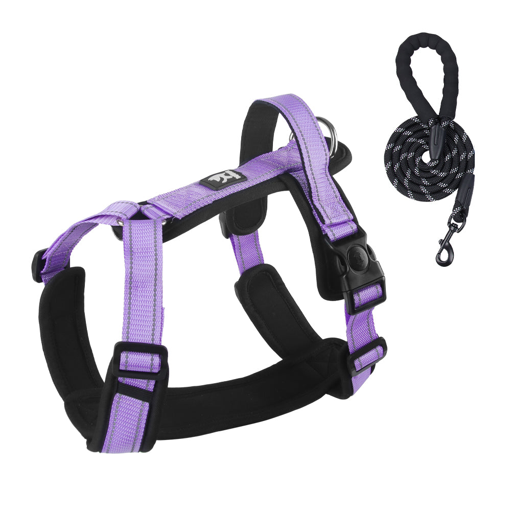 Roam Ready Adjustable Dog Harness and Leash Set