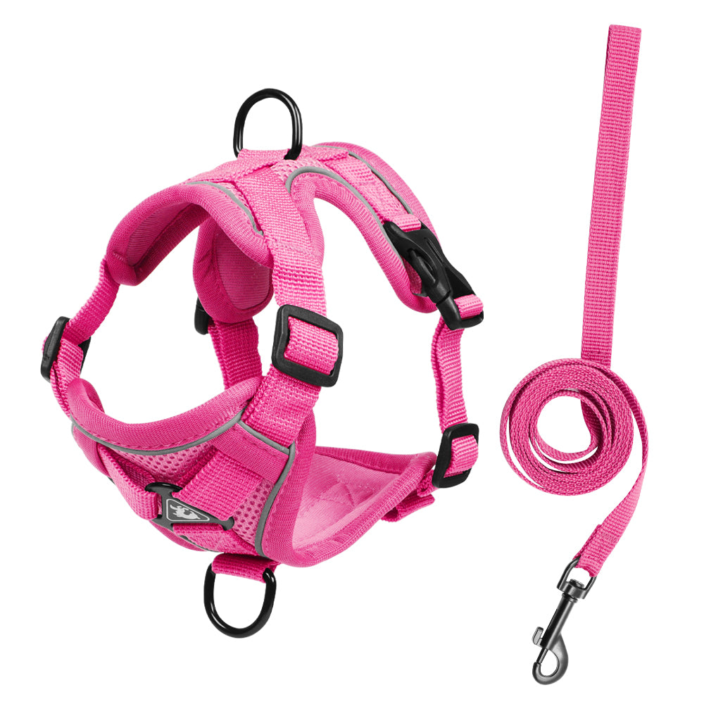 Feather Fit Breathable Pet Harness and Leash Set