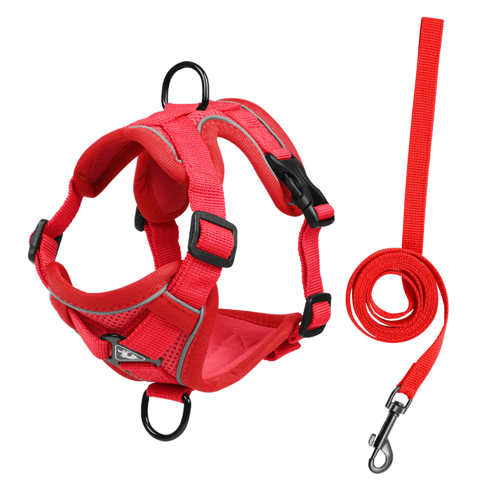 Feather Fit Breathable Pet Harness and Leash Set