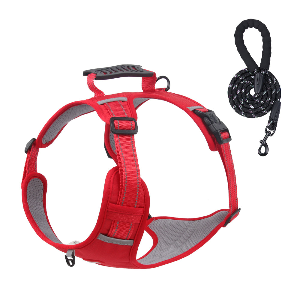 Ridge Guide Reflective Dog Harness and Leash Set