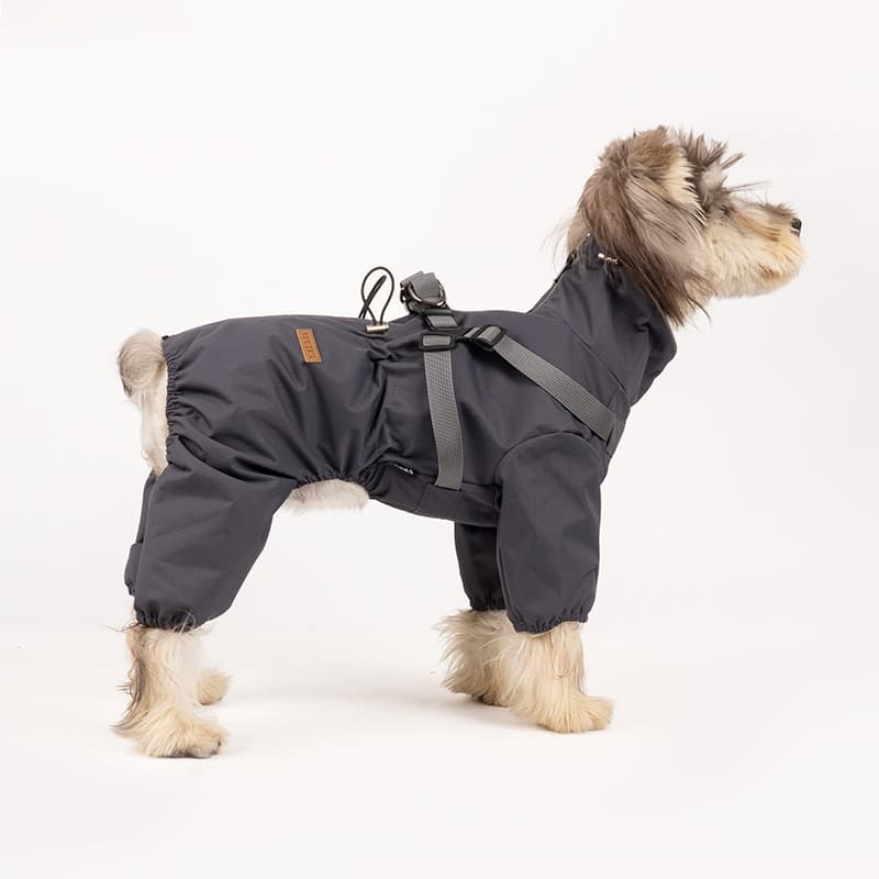 All-Weather Dog Adventure Suit