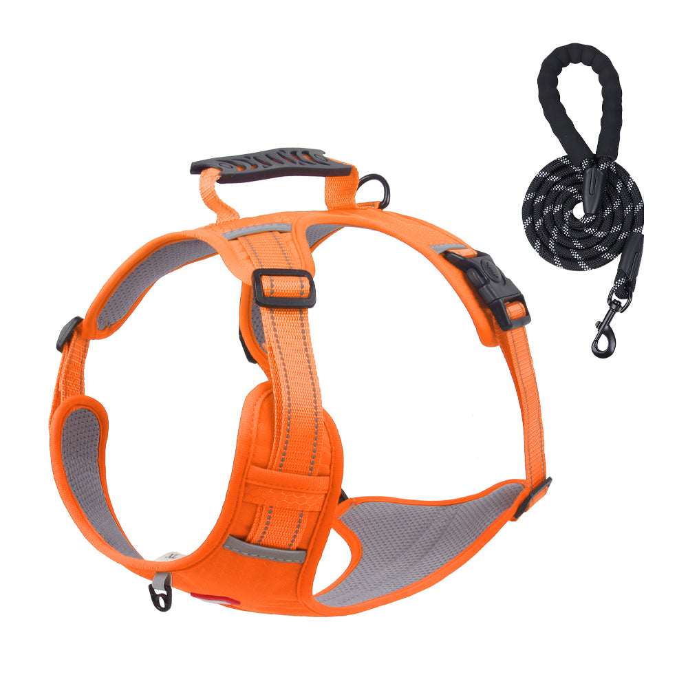 Ridge Guide Reflective Dog Harness and Leash Set