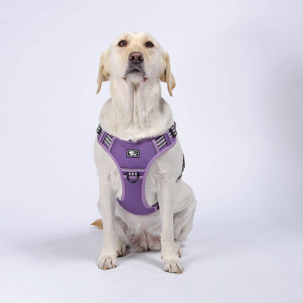 Field Trek Multi-Use Training Dog Harness with Handle