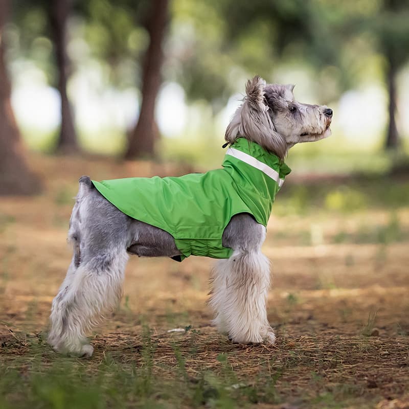 Lightweight Waterproof Dog Outdoor Jacket