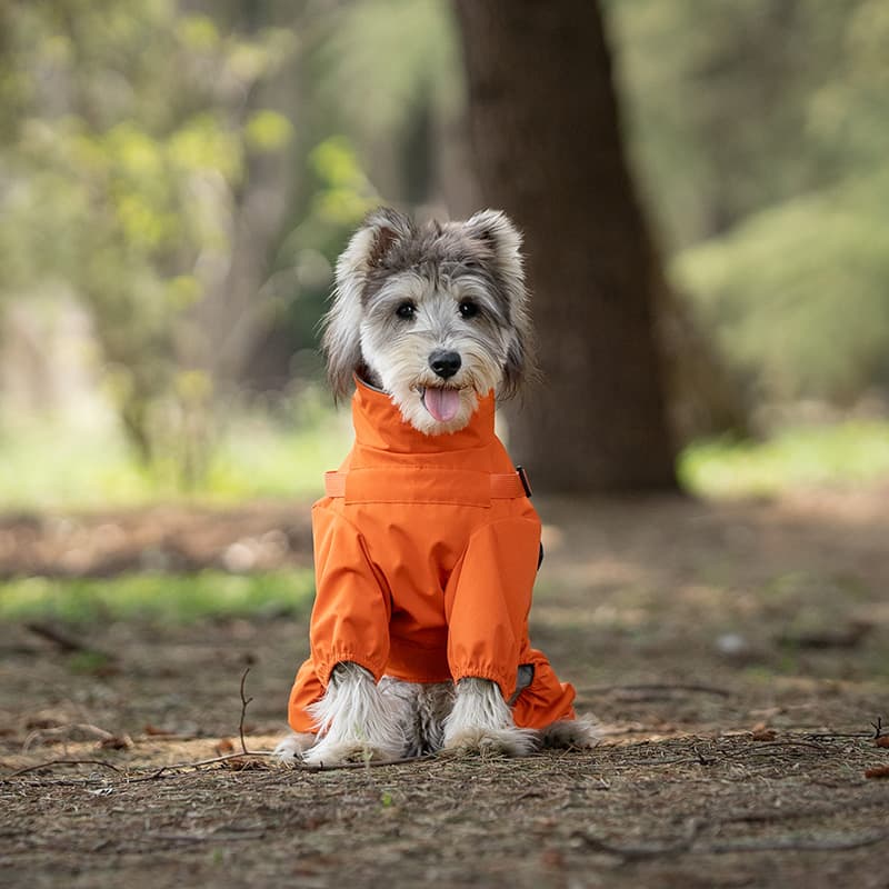 All-Weather Dog Adventure Suit
