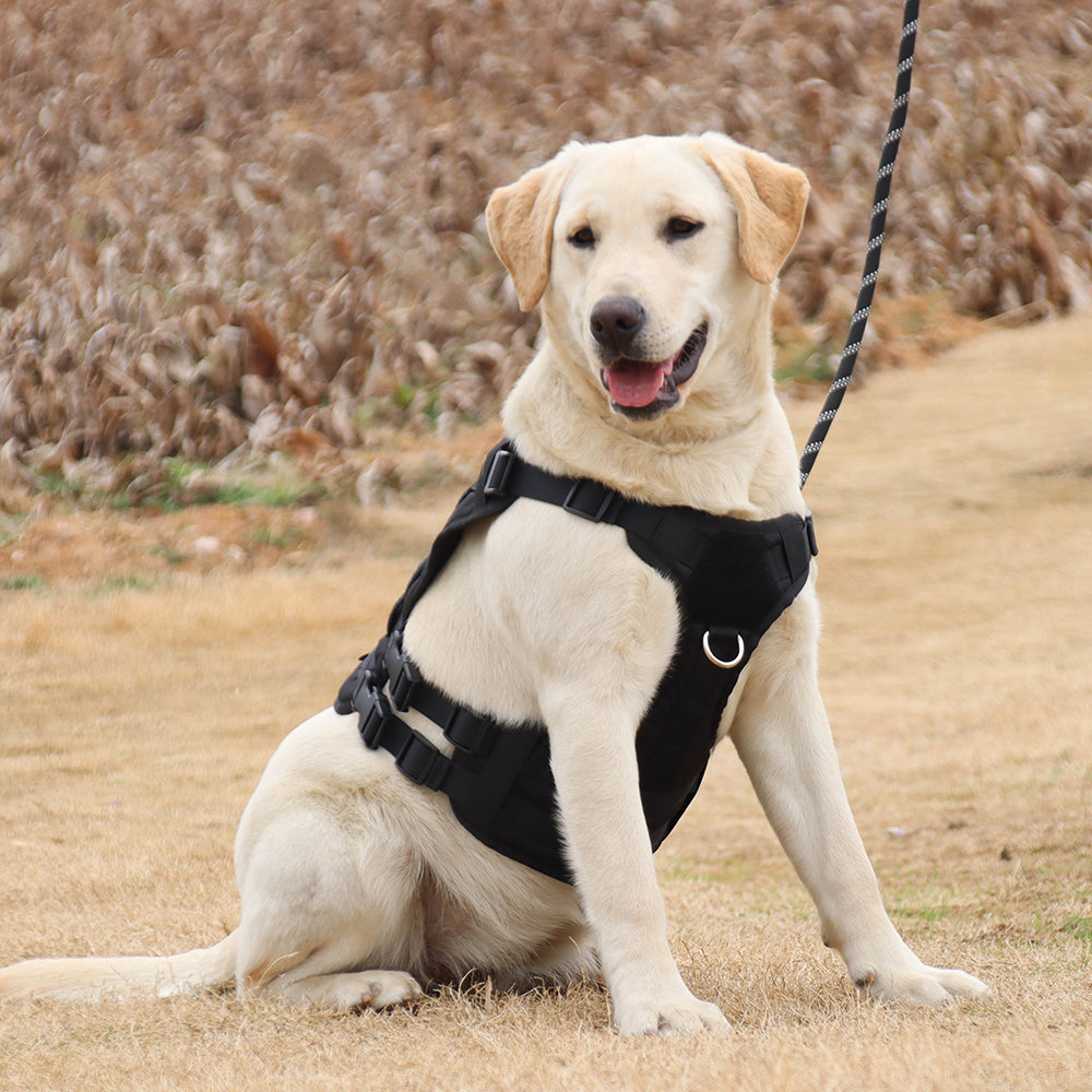 Summit Control Tactical Dog Harness with Handle