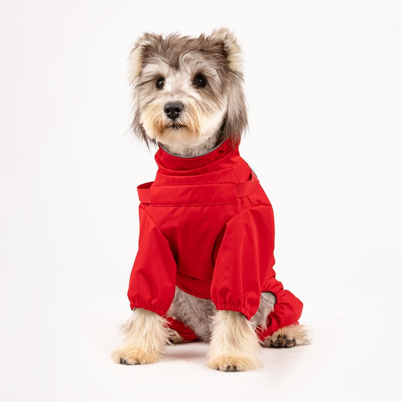 All-Weather Dog Adventure Suit