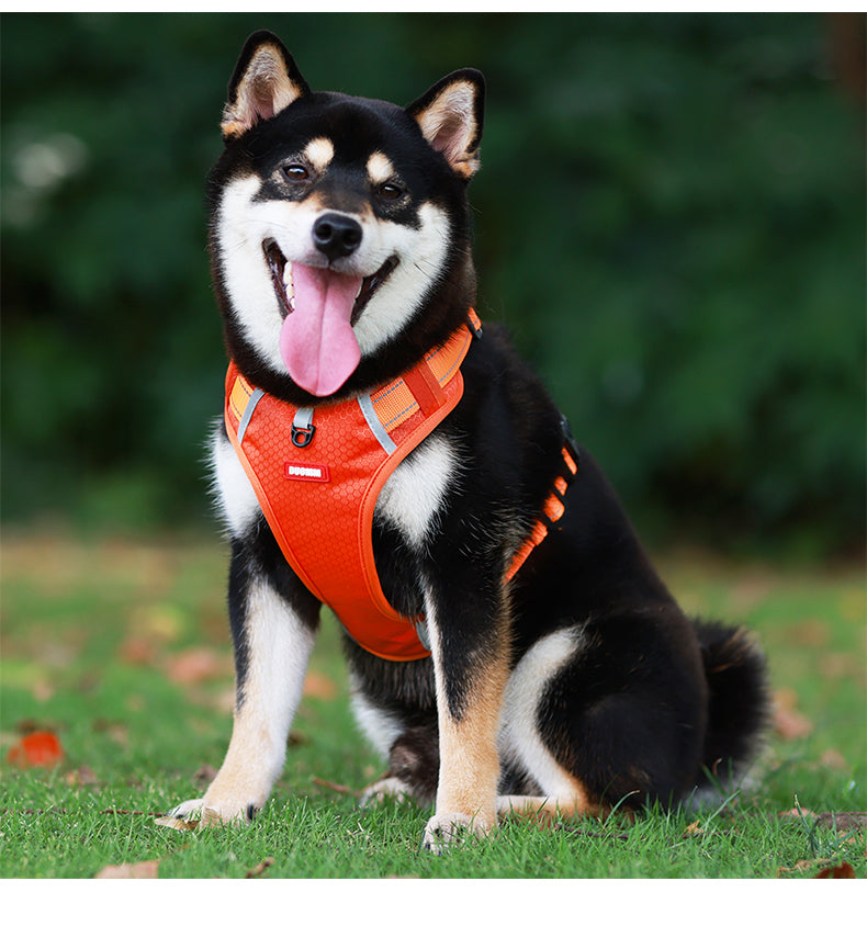 Ridge Guide Reflective Dog Harness and Leash Set