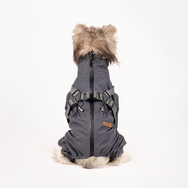 All-Weather Dog Adventure Suit