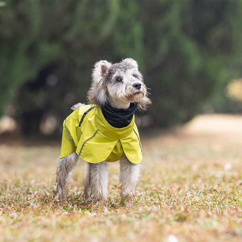 Breathable Dog Adventure Rain Coat
