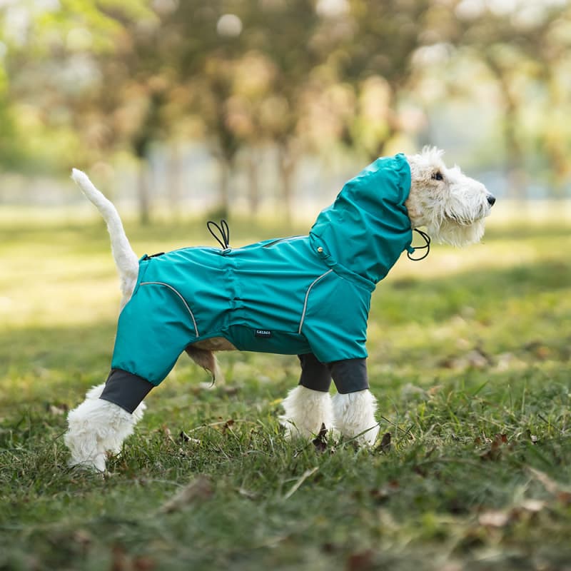 Lightweight Full Coverage Dog Rain Jacket