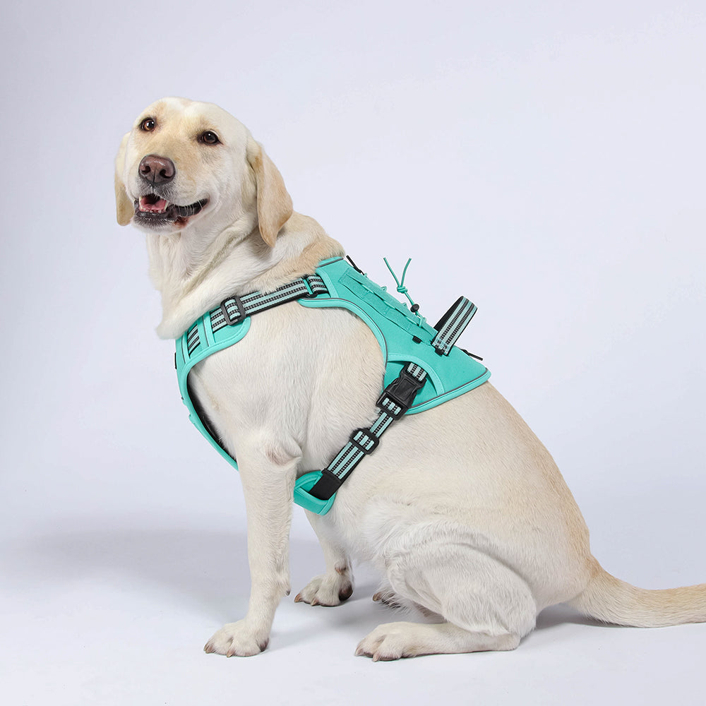 Luma Guard LED Dog Harness & Leash Set