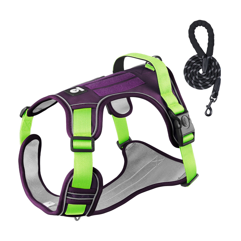 Overland Fit Padded Dog Harness and Leash Set
