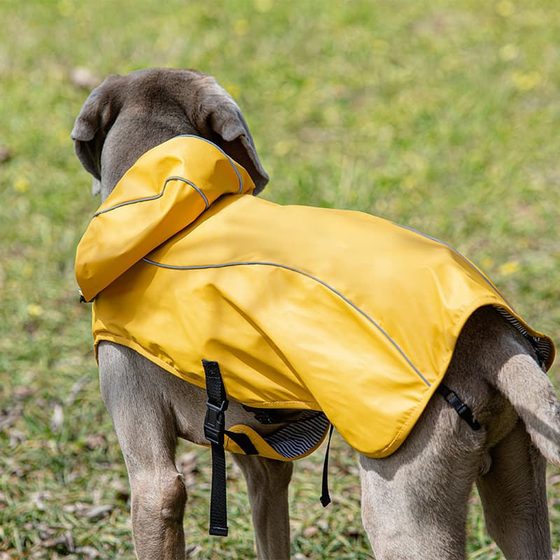 Waterproof Outdoor Dog Rain Jacket