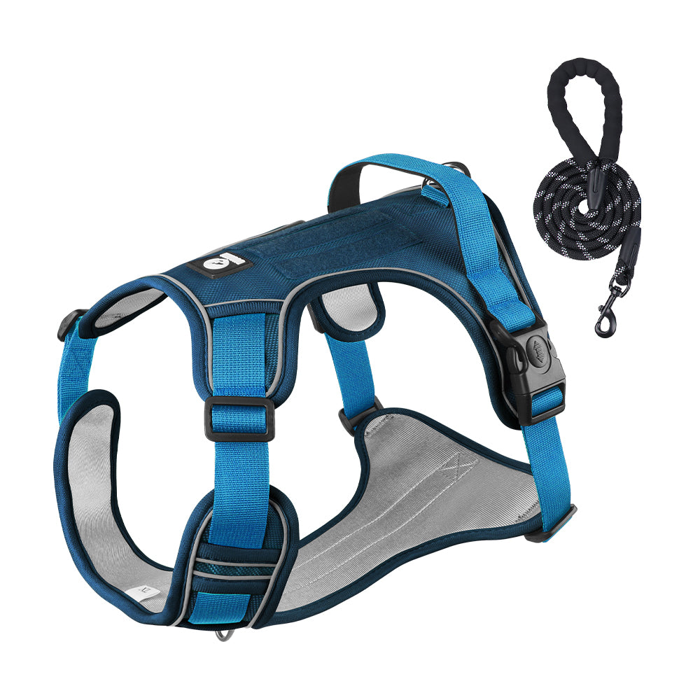 Overland Fit Padded Dog Harness and Leash Set