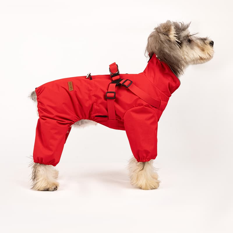 All-Weather Dog Adventure Suit