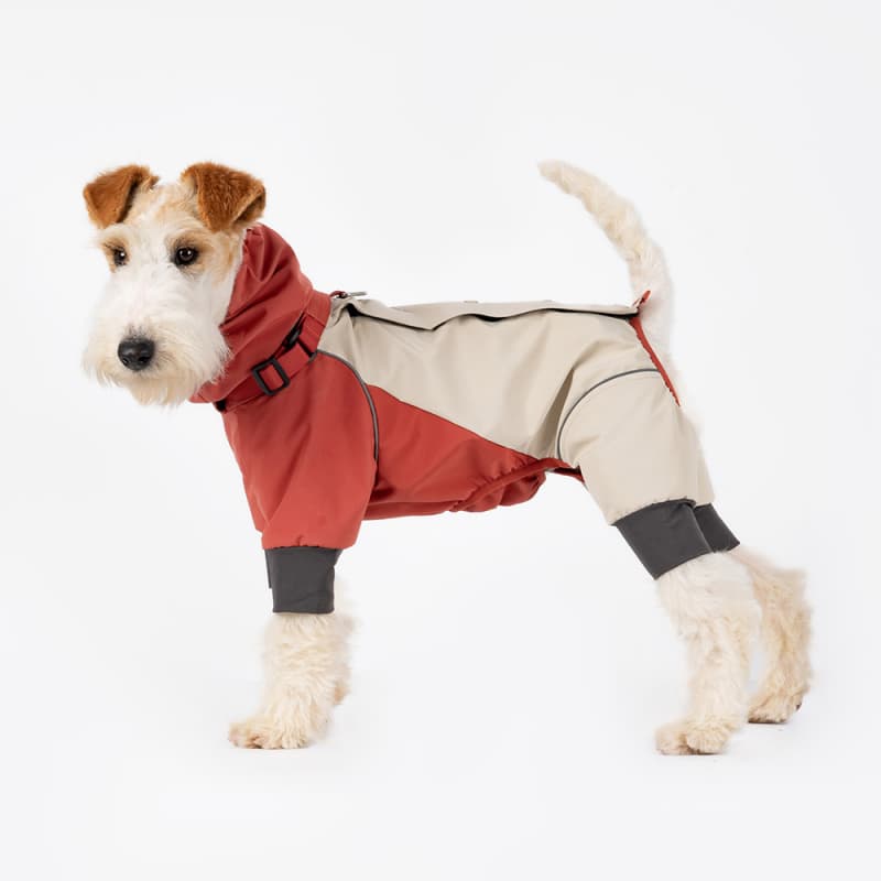 All-Weather Outdoor Adventure Dog Jacket