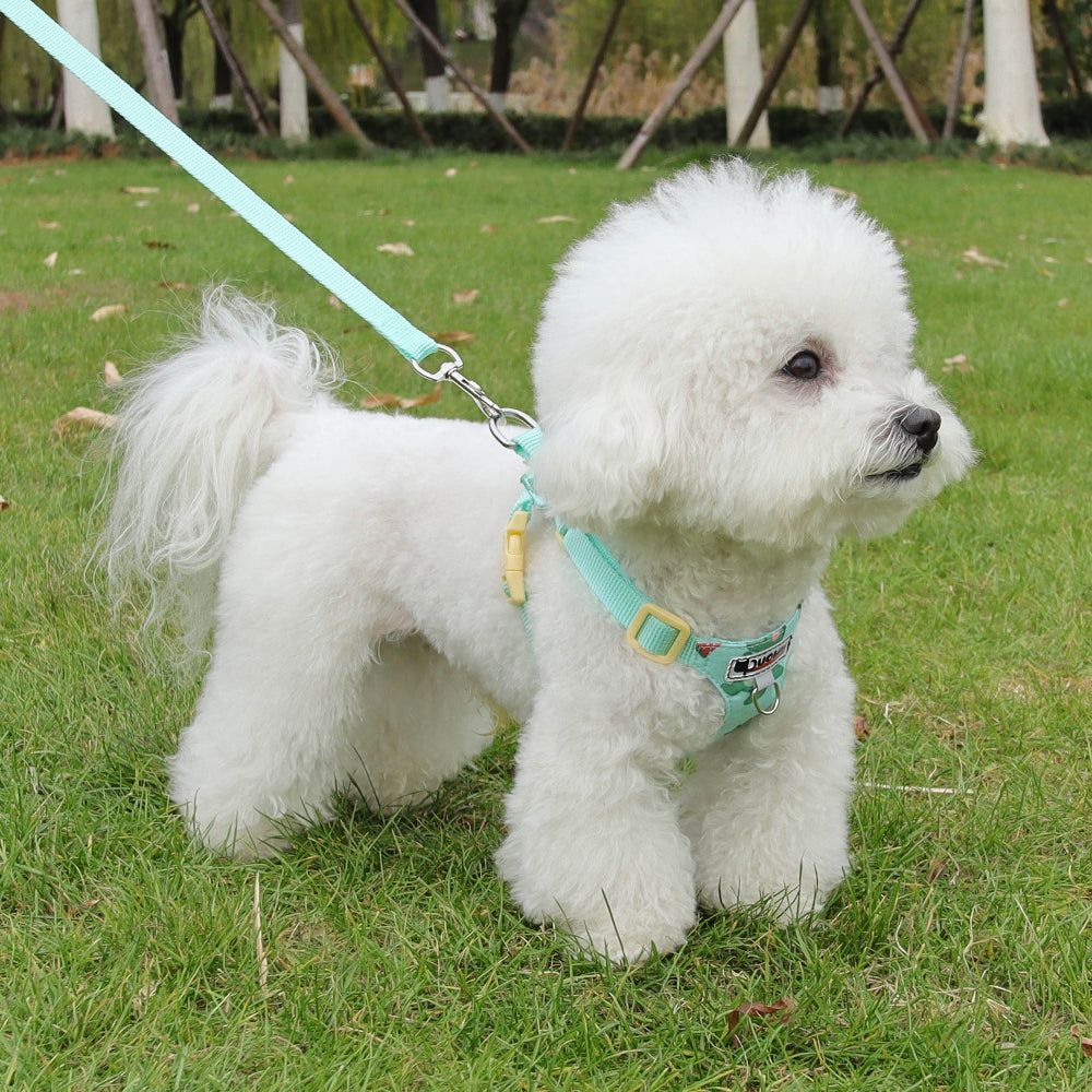 Playful Print Step-In Pet Harness and Leash Set