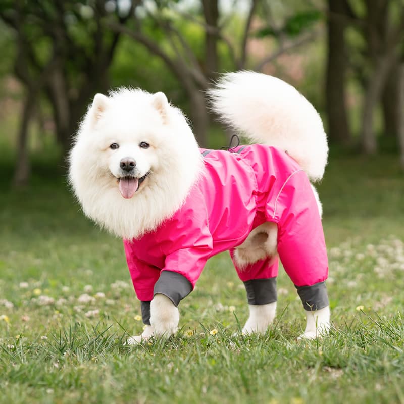 Lightweight Full Coverage Dog Rain Jacket