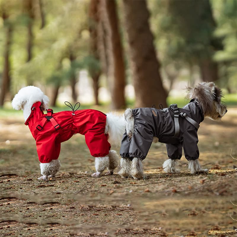 All-Weather Dog Adventure Suit