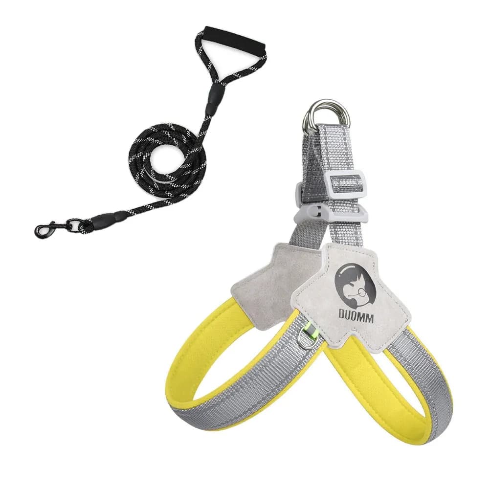 Daybeam Reflective Harness & Leash Set